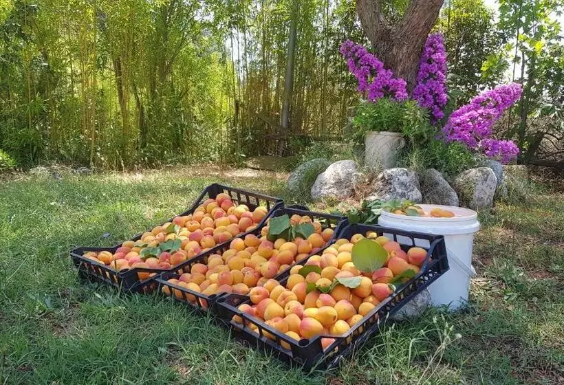 Hotel Agriturismo Petra Lucana