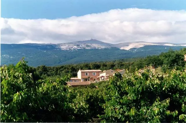 Majatalo Au Pied Du Ventoux