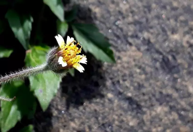 Retkeilymaja Morada Recanto Das Flores