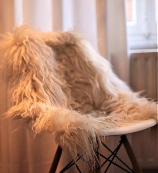 Bed and Breakfast Accademia00