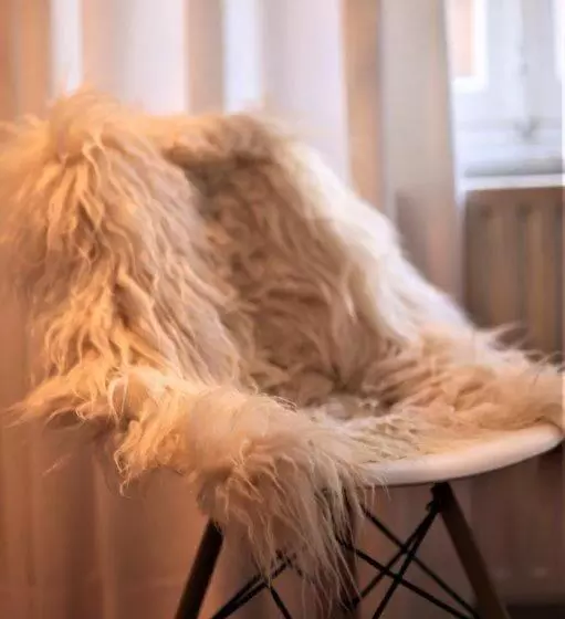 Aamiaismajoitus (B&B) Accademia00