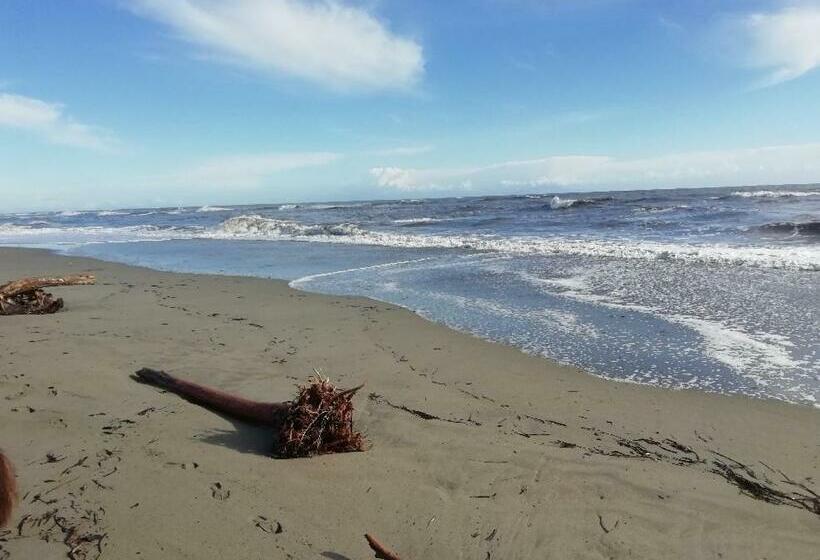 צימר Chiapatella