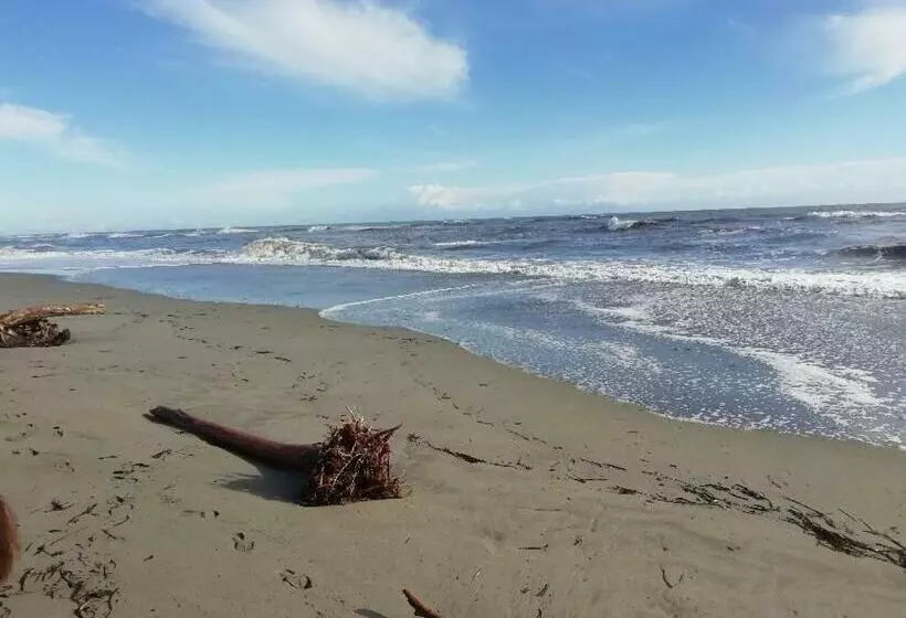 Aamiaismajoitus (B&B) Chiapatella