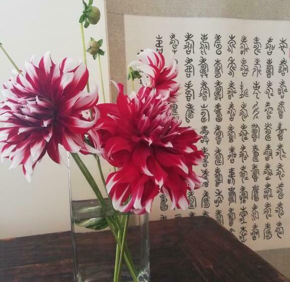 Bed and Breakfast Two Eggs