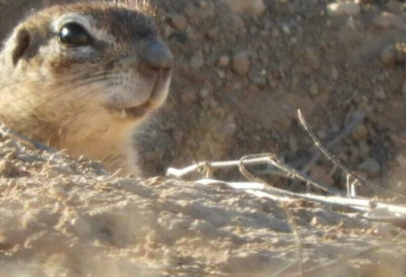 Отель Karri Grove Cottages