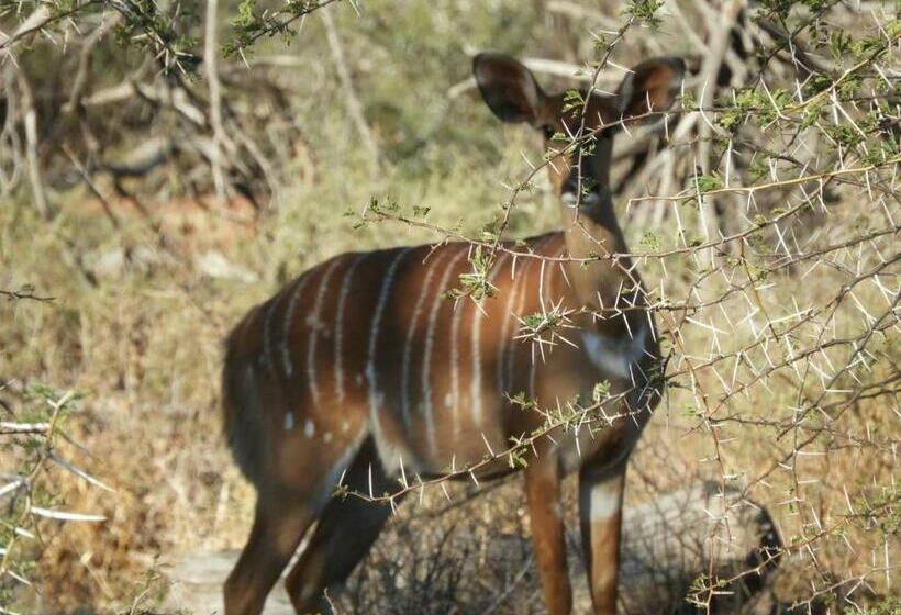 Отель Karri Grove Cottages