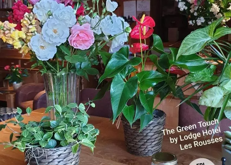 Lodge Hotel Les Rousses