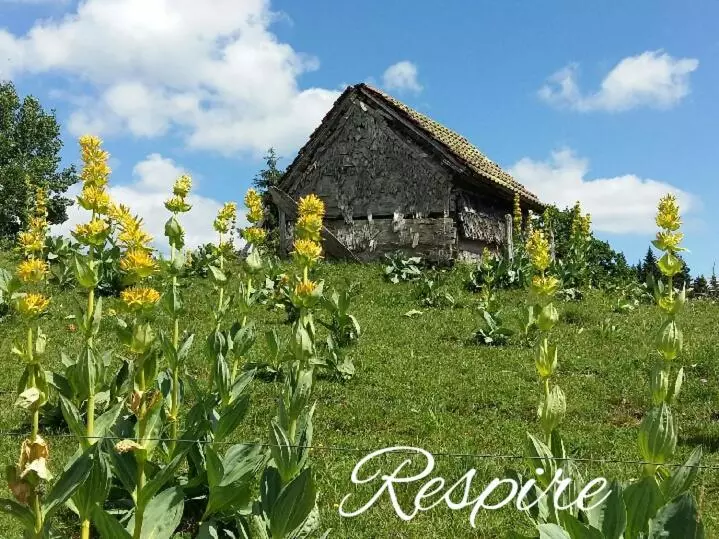 Lodge Hotel Les Rousses
