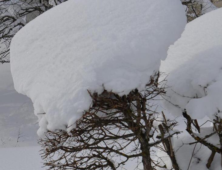 Lodge Hotel Les Rousses