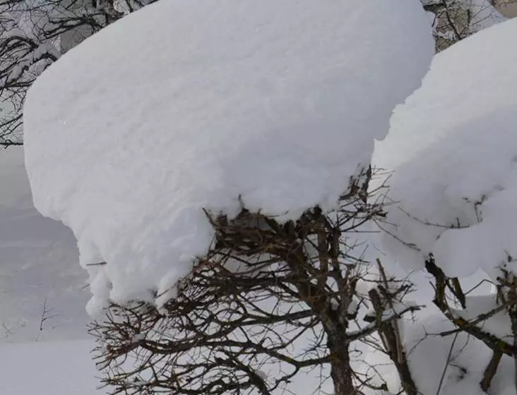 Lodge Hotel Les Rousses