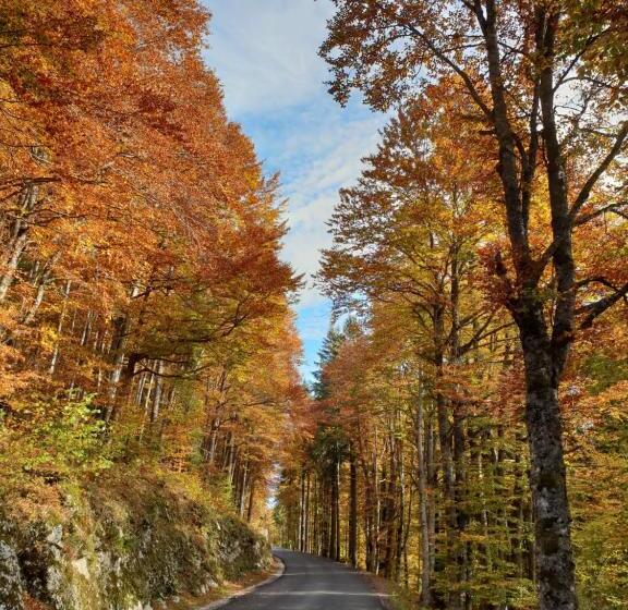 Lodge Hotel Les Rousses