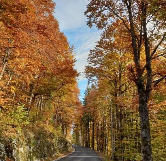 Lodge Hotel Les Rousses