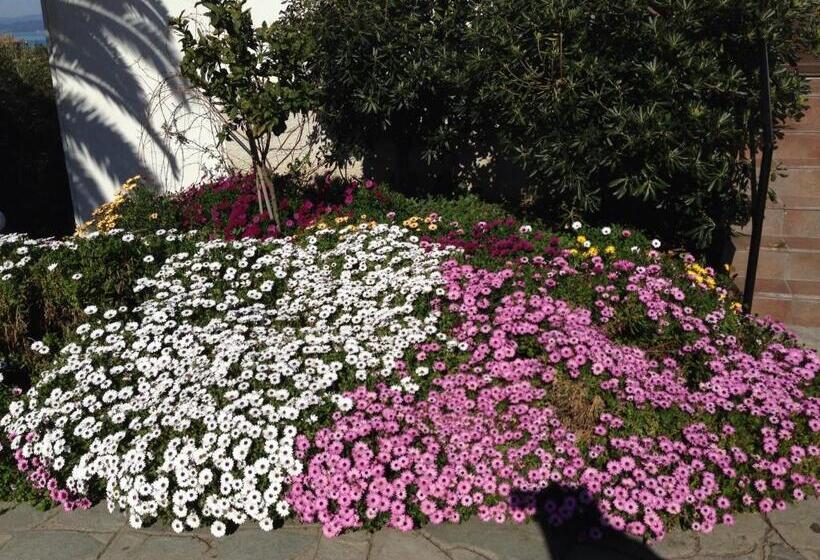 リゾートホテル Aristoteles Holiday Hotel And Spa