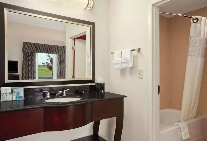 Hampton Inn & Suites Millington