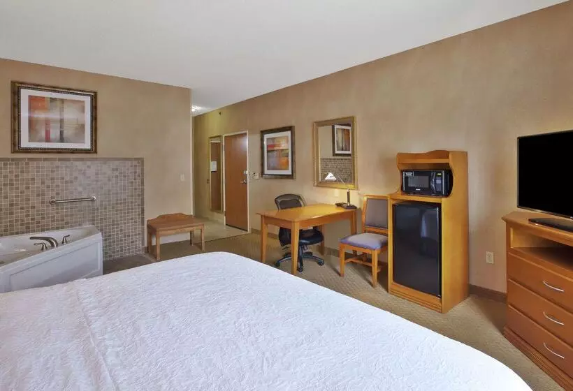 Hampton Inn Detroit/uticashelby Township