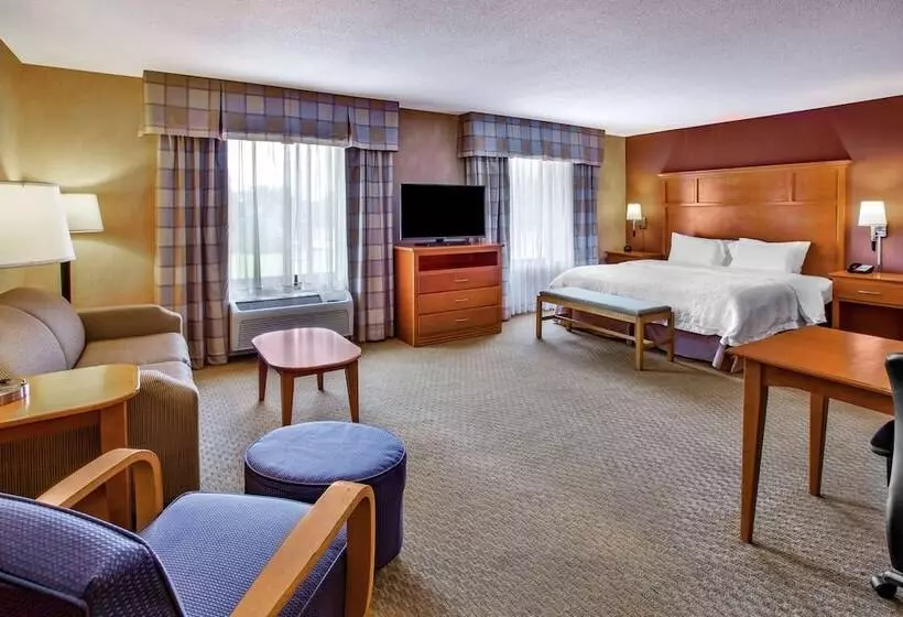 Hampton Inn Detroit/uticashelby Township