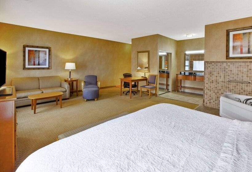 Hampton Inn Detroit/uticashelby Township