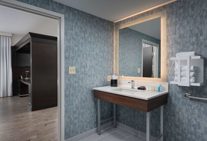 Hampton Inn & Suites Chattanooga/downtown