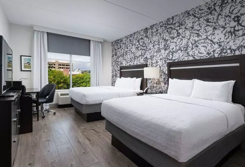 Hampton Inn & Suites Chattanooga/downtown