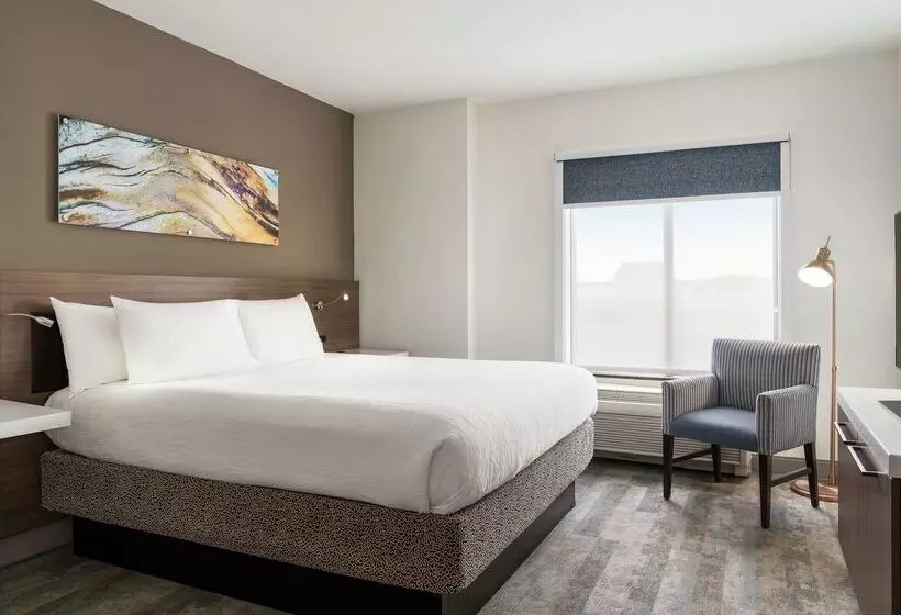 酒店 Hilton Garden Inn Charlotte/ayrsley