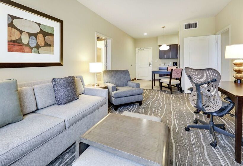 酒店 Homewood Suites Dallas Allen