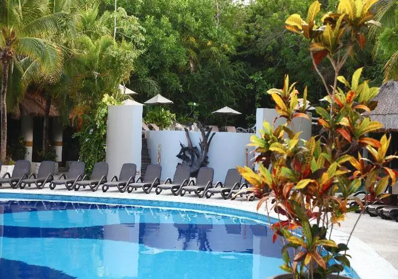 酒店 Select Club At Sandos Caracol All Inclusive Adults Only Area