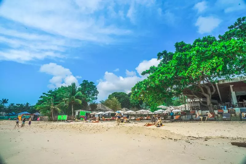 בית מלון כפרי The Hive