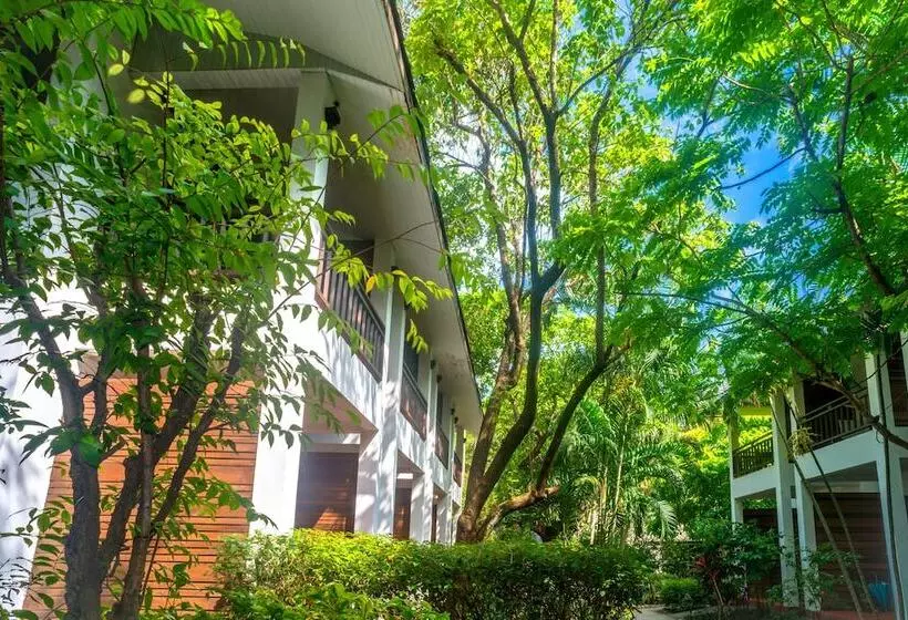 בית מלון כפרי The Hive