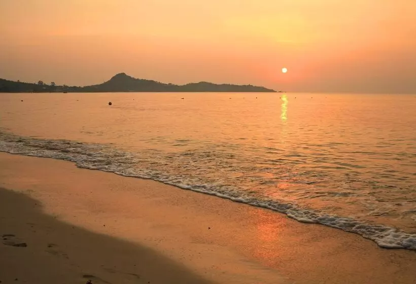 בית מלון כפרי The Hive