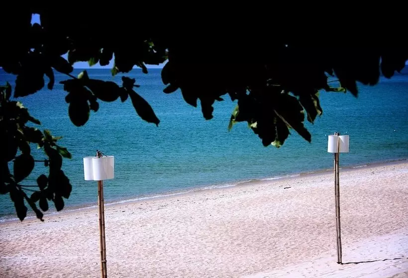 בית מלון כפרי The Hive