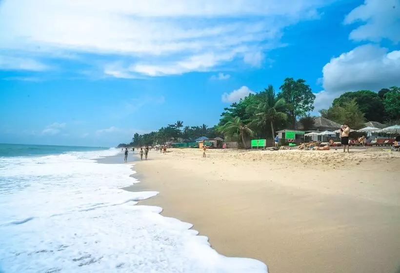 בית מלון כפרי The Hive