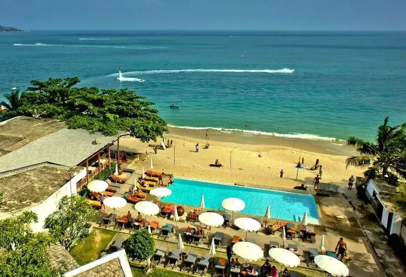 בית מלון כפרי The Hive