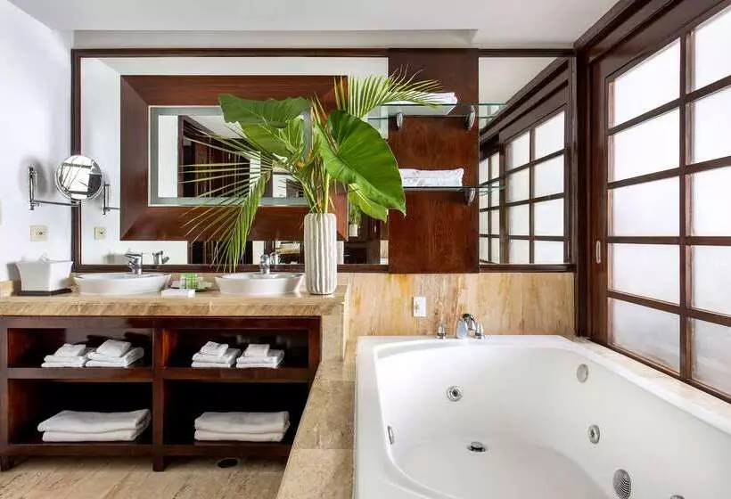 渡假胜地 Zel Punta Cana All Inclusive