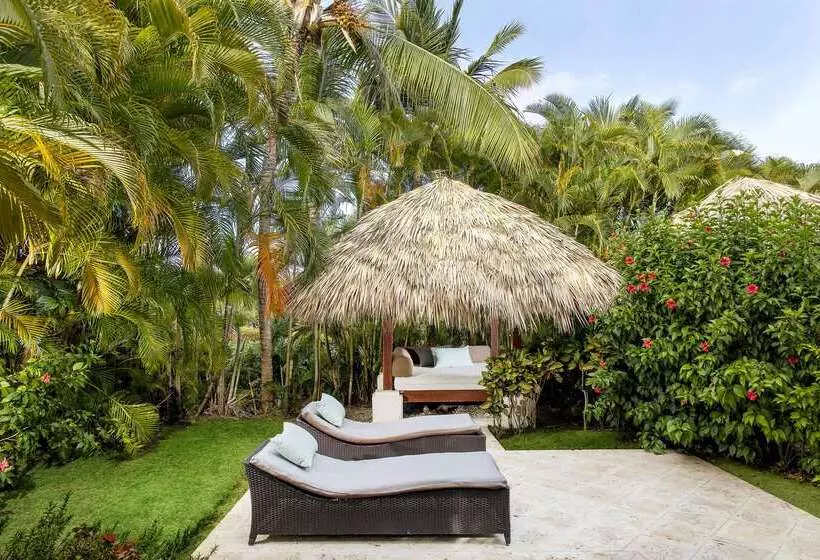 渡假胜地 Zel Punta Cana All Inclusive