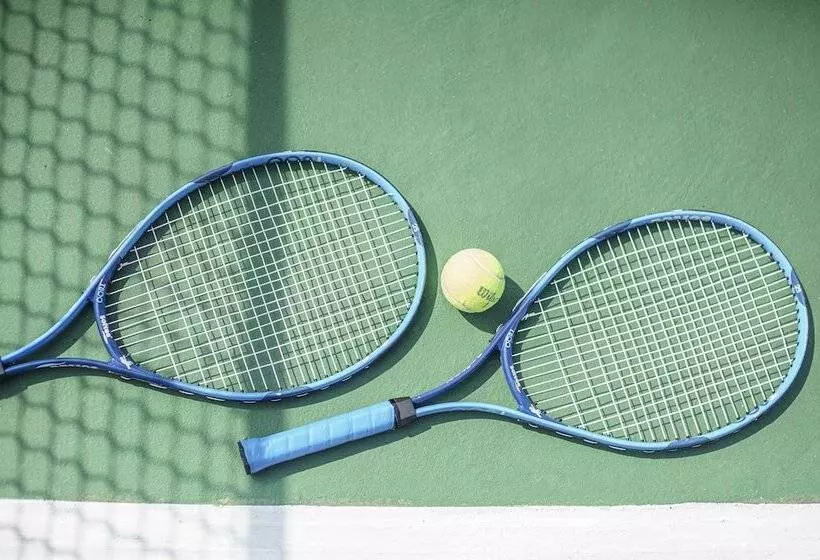 渡假胜地 Zel Punta Cana All Inclusive