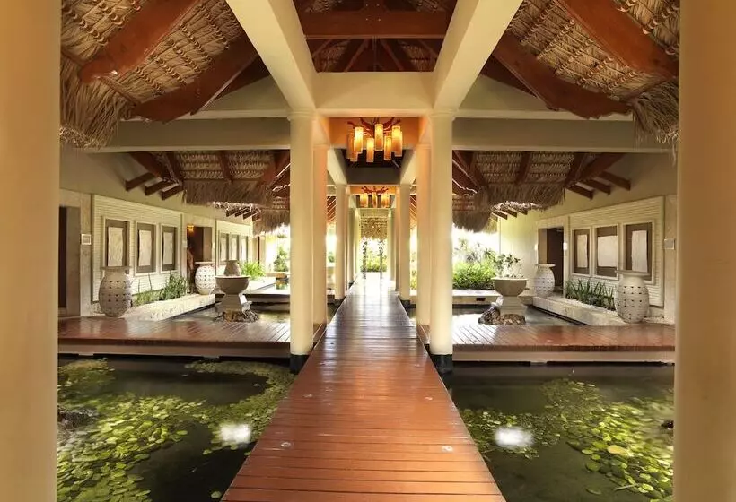 渡假胜地 Zel Punta Cana All Inclusive