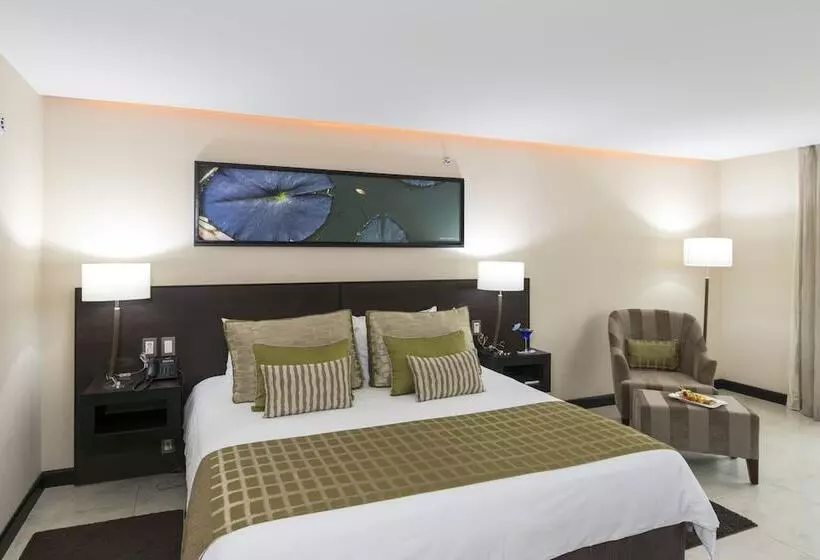 Studio Hotel Boutique