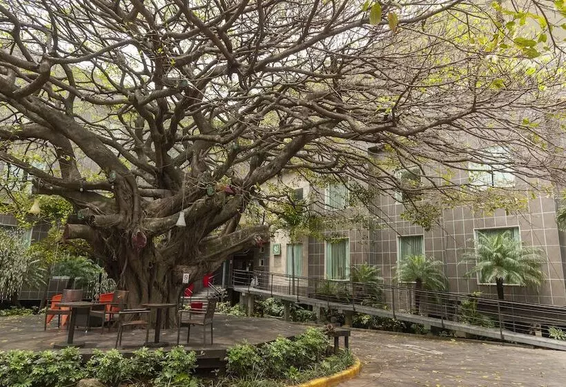 Studio Hotel Boutique