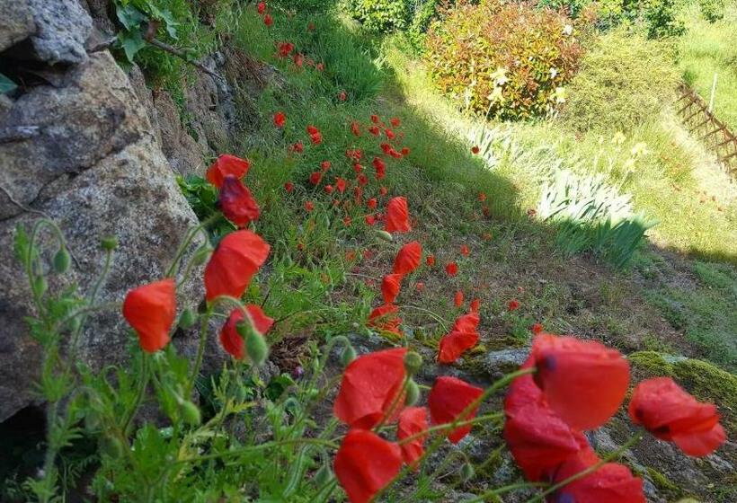 צימר Le Chalet Du Parc