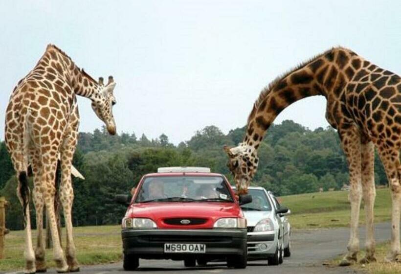 צימר Le Chalet Du Parc