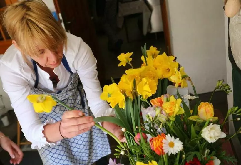 Retkeilymaja Bräustüberl Schönbrunn
