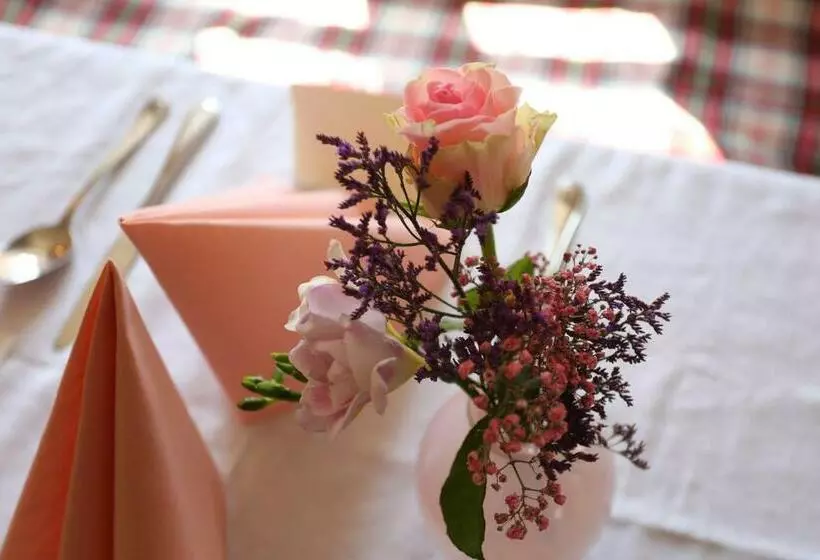 Retkeilymaja Bräustüberl Schönbrunn