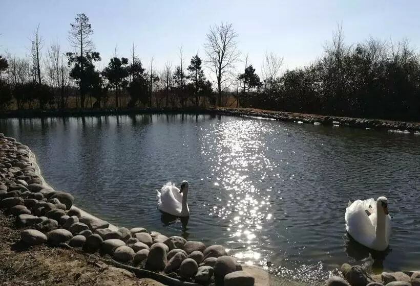 B&b Villa Dei Cigni Reali