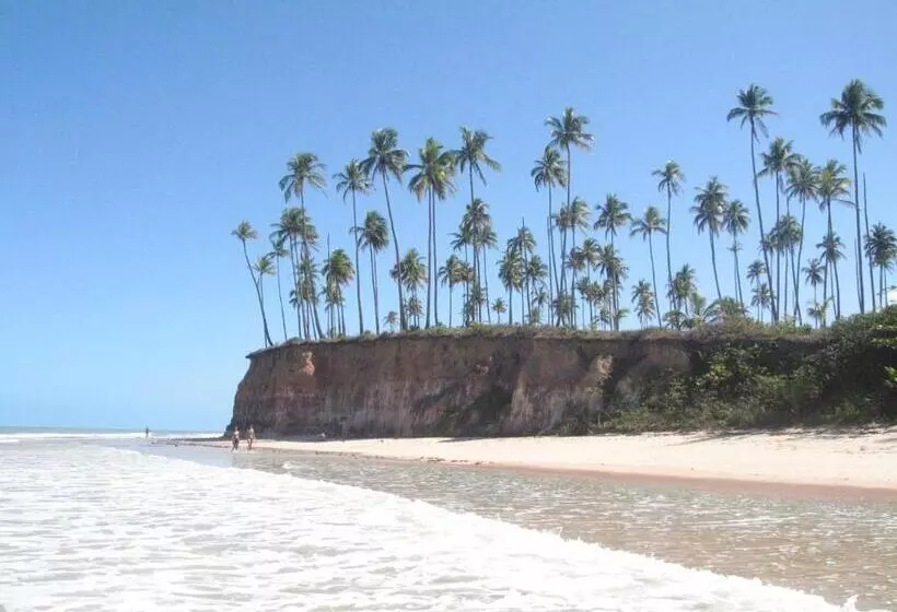 ペンション Pousada Lirio Dos Vales