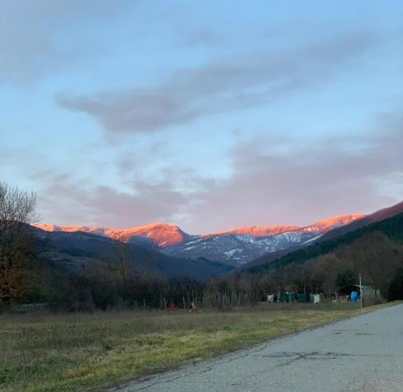 پانسیون San Martino Vald Afra