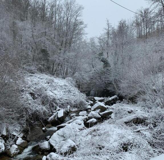 پانسیون San Martino Vald Afra