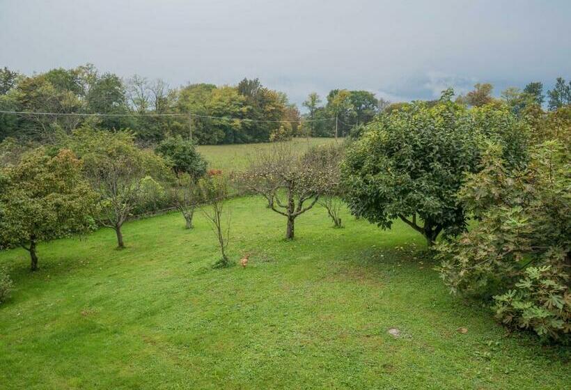 تختخواب و صبحانه Casa 1885