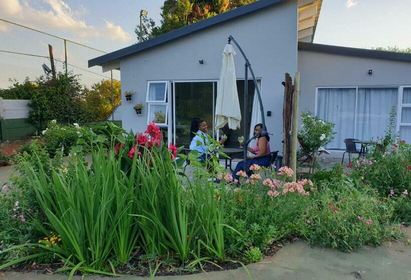 پانسیون Pine Park Garden Cottages