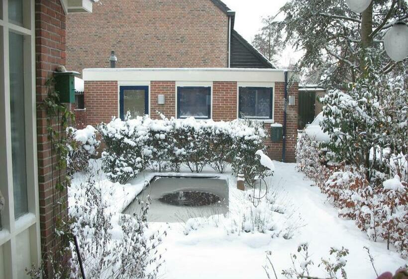 مبيت وإفطار De Krasse Man