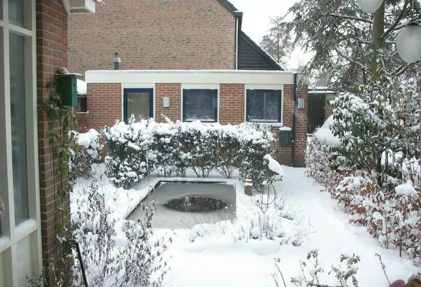 Aamiaismajoitus (B&B) De Krasse Man